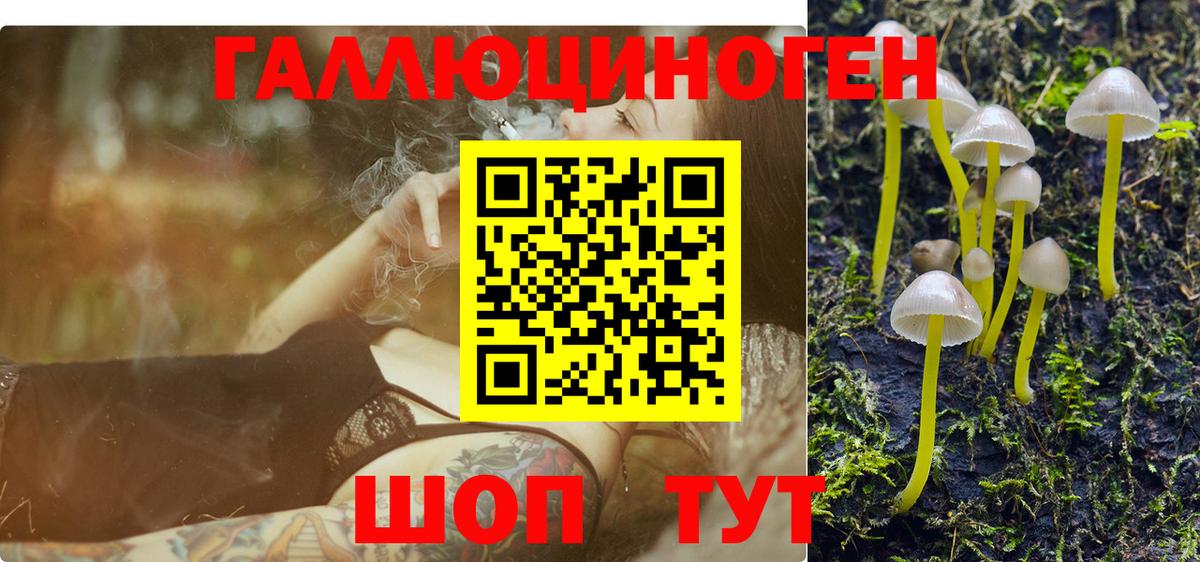 Псилоцибиновые грибы Cubensis  Вход с VPN  Нерюнгри 